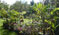 Plant Nursery at the Hi'ilani EcoHouse